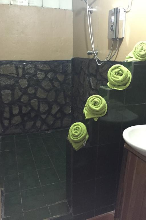 Green Mountain And Lodge Turrialba Exterior photo