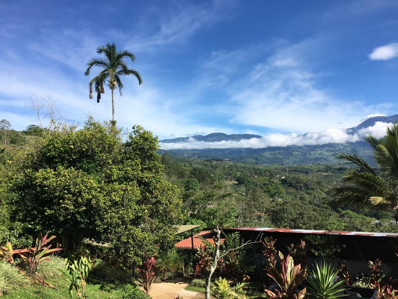 Green Mountain And Lodge Turrialba Exterior photo