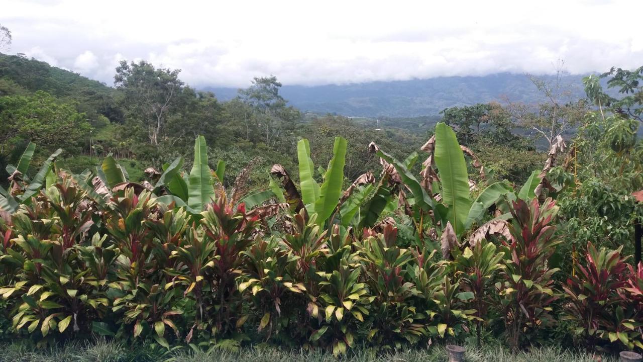 Green Mountain And Lodge Turrialba Exterior photo