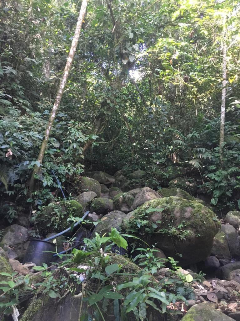 Green Mountain And Lodge Turrialba Exterior photo