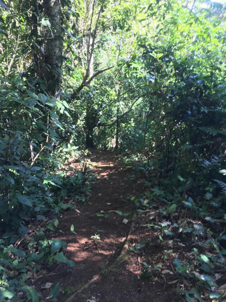 Green Mountain And Lodge Turrialba Exterior photo